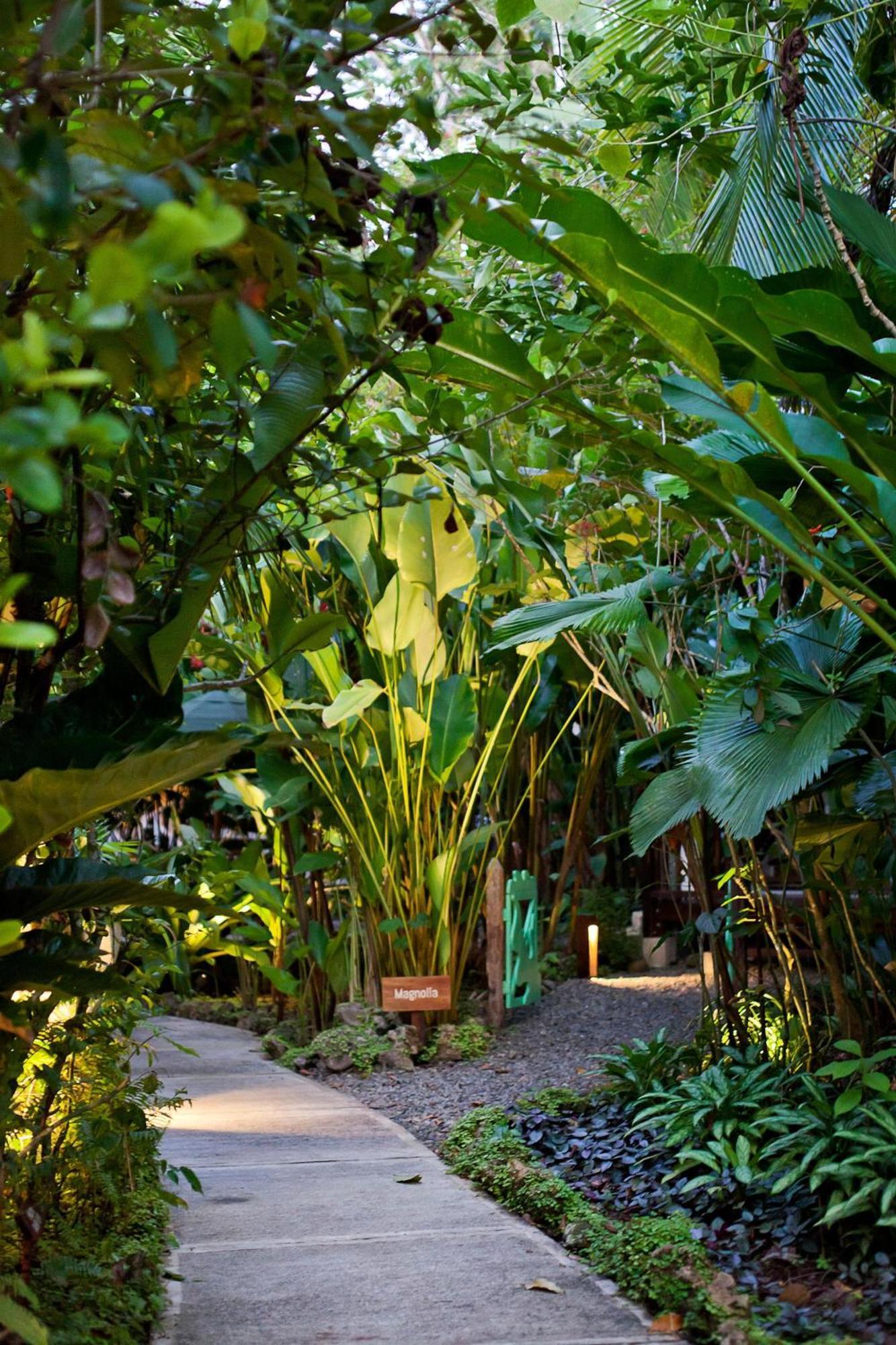 Hotel Aguas Claras Member Of The Cayuga Collection Puerto Viejo de Talamanca Buitenkant foto